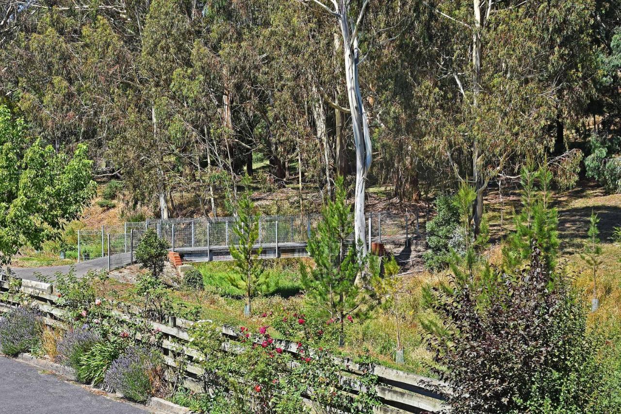 Main Lead Ballarat Motel מראה חיצוני תמונה